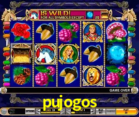 VIP Casino pujogos